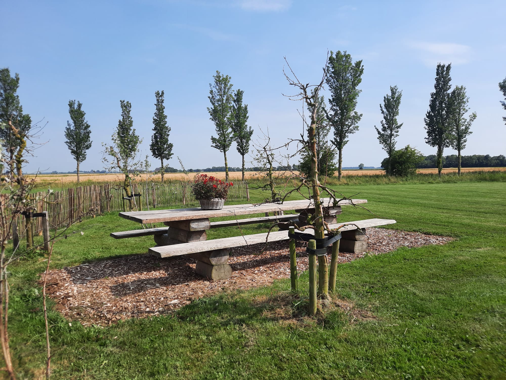 Wester Pama · foto van de camping 5